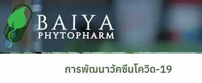 คืบหน้า! วัคซีนใบยาป้องกันโควิด ฝีมือนักวิจัยไทย เตรียมทดสอบในมนุษย์ระยะแรก ก.ย.นี้ HealthServ.net
