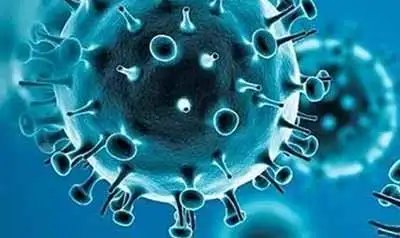 WHO ข้อมูลล่าสุดเกี่ยวกับไวรัสโควิดสายพันธุ์โอมิครอน HealthServ.net