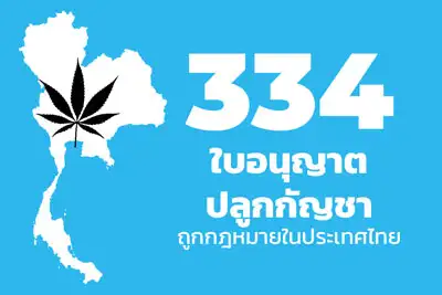 334 ใบอนุญาตปลูกกัญชาถูกกฎหมาย ในประเทศไทย HealthServ.net