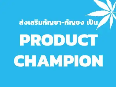 ส่งเสริมกัญชา-กัญชง เป็น Product Champion HealthServ.net