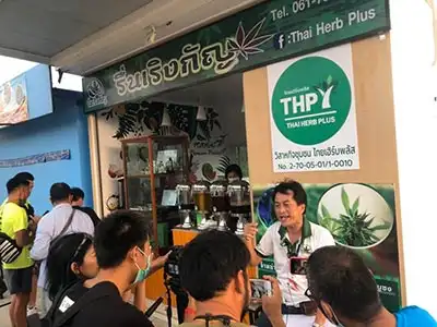 ร้านรื่นเริงกัญ Pattaya อาหารและเครื่องดื่มที่มีส่วนผสมของกัญชา แห่งพัทยา ThumbMobile HealthServ.net