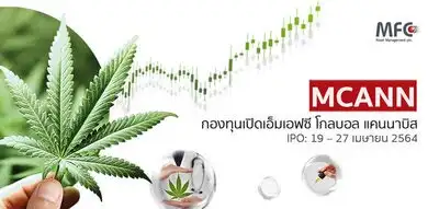 MFC ตั้ง กองทุนกัญชา เจ้าแรกในไทย เปิดขายหน่วย 19-27 เม.ย.นี้ HealthServ.net