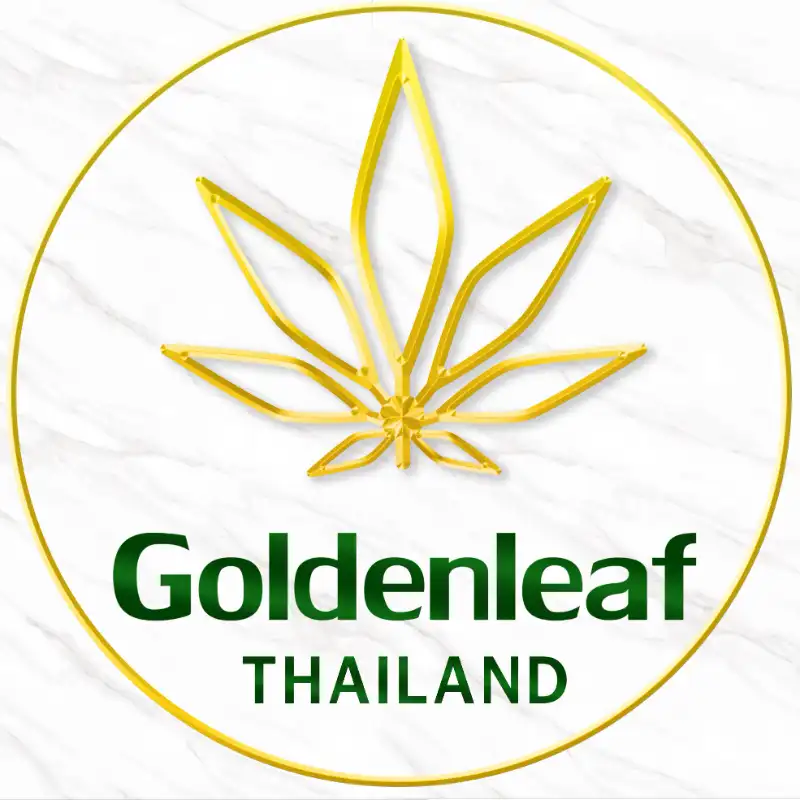 Goldenleaf Thailand ครบเครื่องเรื่องกัญชา ต้นน้ำ-ปลายน้ำ HealthServ.net