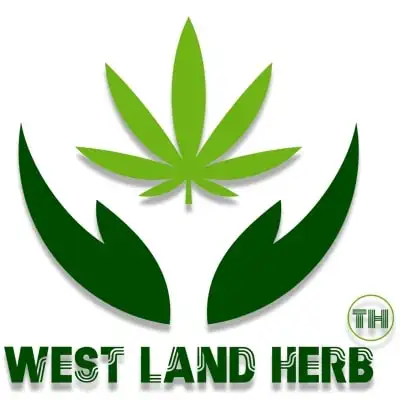 เวสต์แลนด์เฮิร์บ West Land Herb กัญชงครบวงจร ต้นน้ำ-กลางน้ำ-ปลายน้ำ HealthServ.net