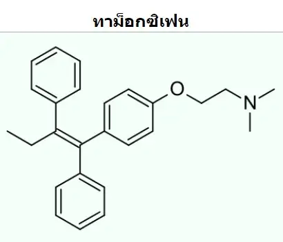 Tamoxifen (ทาม็อกซิเฟน) HealthServ.net