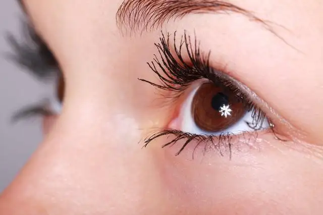 6 อาการอันตรายต่อดวงตา พบจักษุแพทย์ด่วน (รพ.เมตตาฯชวนรู้) HealthServ.net