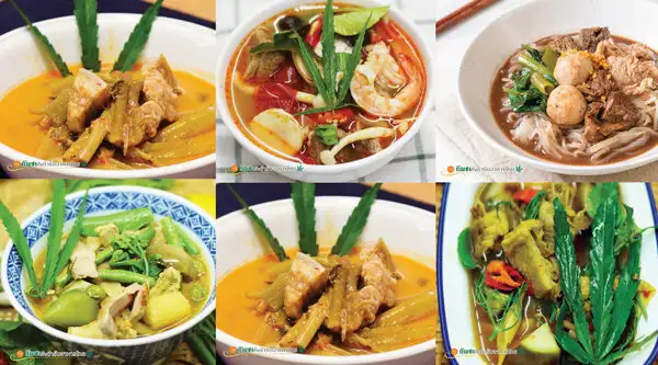 รวมสูตรอาหารกัญชาไทย ฉบับแพทย์แผนไทยและการแพทย์ทางเลือก HealthServ.net