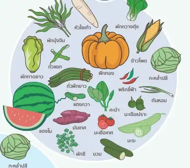 ปลูกผักตามฤดูกาลรู้ไว้ได้ประโยชน์ วางแผนดีๆ เป็นเศรษฐีกันได้ไม่ยาก HealthServ.net