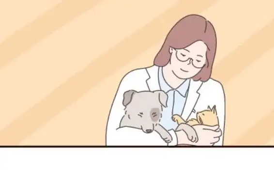 โครงการทำหมันแมว-สุนัข ฟรี! (ครั้งที่ 2) ม.ธรรมศาสตร์ (ท่าพระจันทร์) มูลนิธิรักษ์แมว HealthServ.net