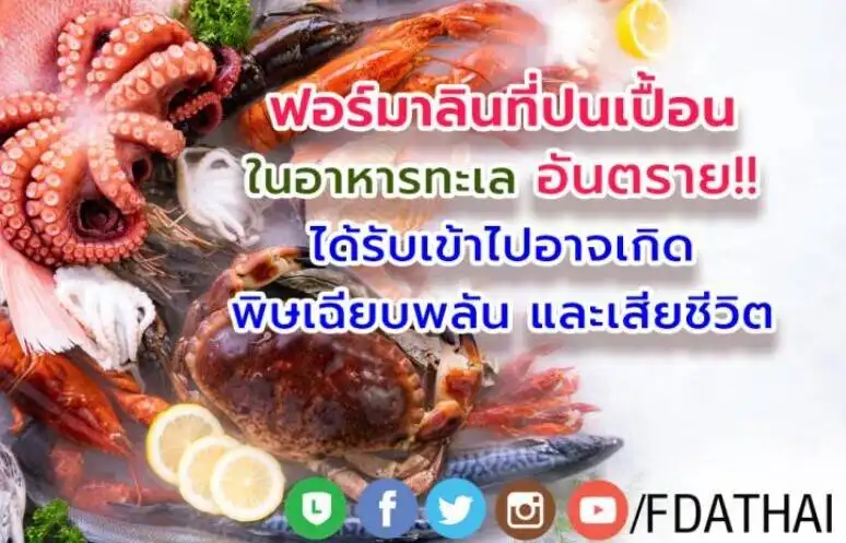 สิ่งที่ผู้บริโภคควรรู้ เกี่ยวกับฟอร์มาลินในอาหารทะเล HealthServ.net