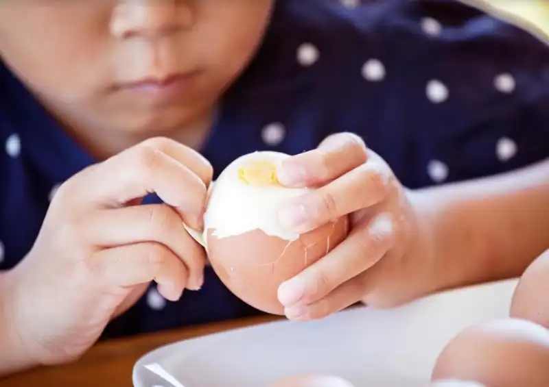 โปรตีนจากไข่และเนื้อสัตว์สำคัญสำหรับเด็ก กุมารแพทย์ แนะควรกินไข่วันละ 1 ฟอง HealthServ.net