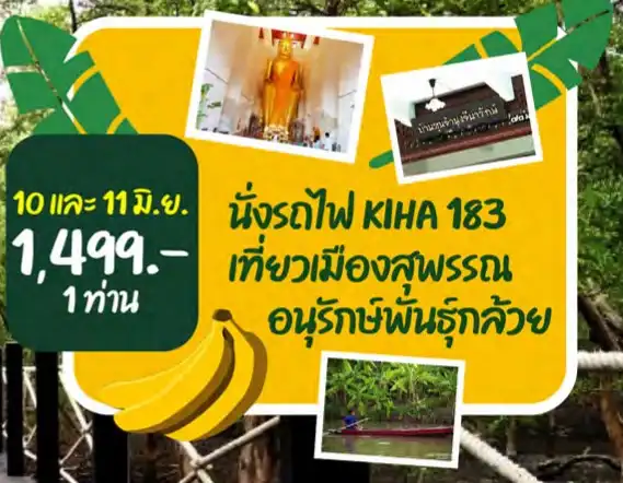 นั่งรถไฟ KIHA 183 : เที่ยวเมืองสุพรรณ อนุรักษ์พันธุ์กล้วย 10 และ 11 มิถุนายน 2566 HealthServ.net
