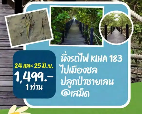 นั่งรถไฟ KIHA 183 : ไปเมืองชล ปลูกป่าชายเลน@เสม็ด 24 และ 25 มิถุนายน 2566 HealthServ.net