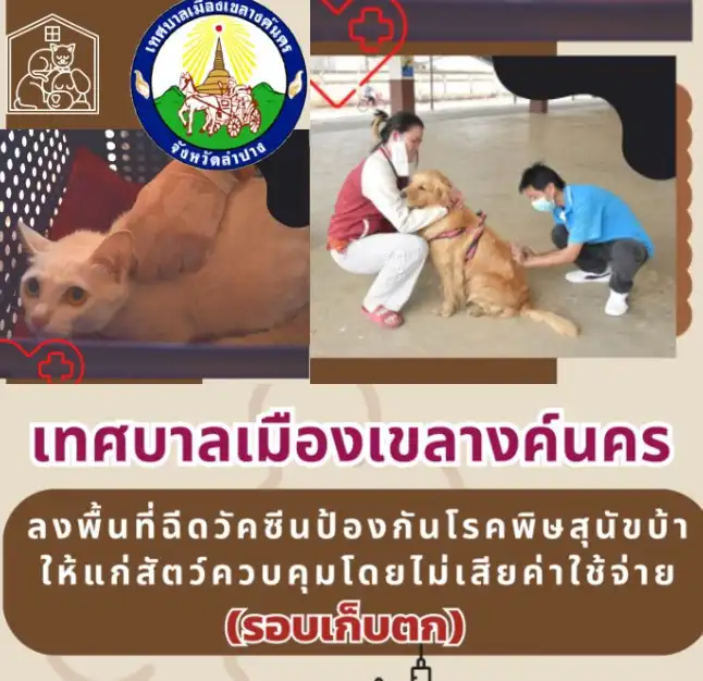 เทศบาลเมืองเขลางค์นคร ฉีดวัคซีนป้องกันโรคพิษสุนัขบ้า เดือนมิถุนายน (รอบเก็บตก)  HealthServ.net