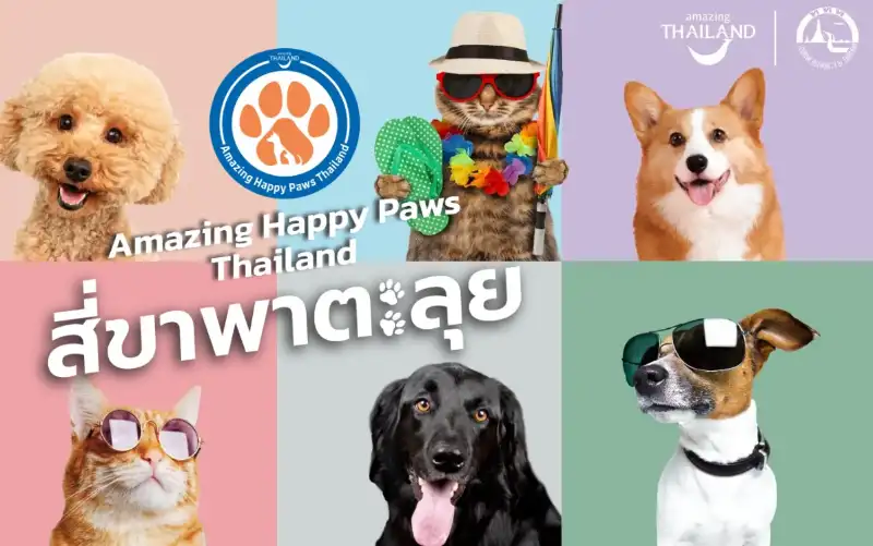 Amazing Happy Paws Thailand สี่ขาพาตะลุย ที่กินเที่ยวที่เป็นมิตรกับสัตว์เลี้ยงสุดเลิฟ HealthServ.net