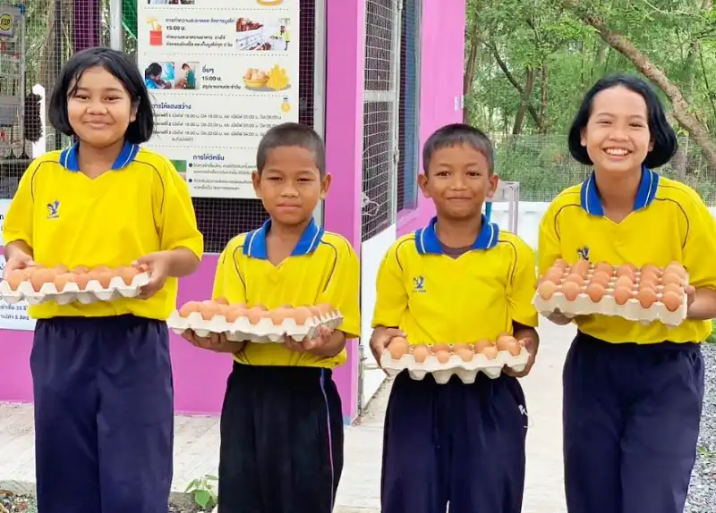 ฝึกเลี้ยงไก่ไข่เพื่ออาหารกลางวัน สร้างทักษะอาชีพให้เด็กโรงเรียนบ้านแก้วเพชรพลอย จ.สระแก้ว HealthServ.net