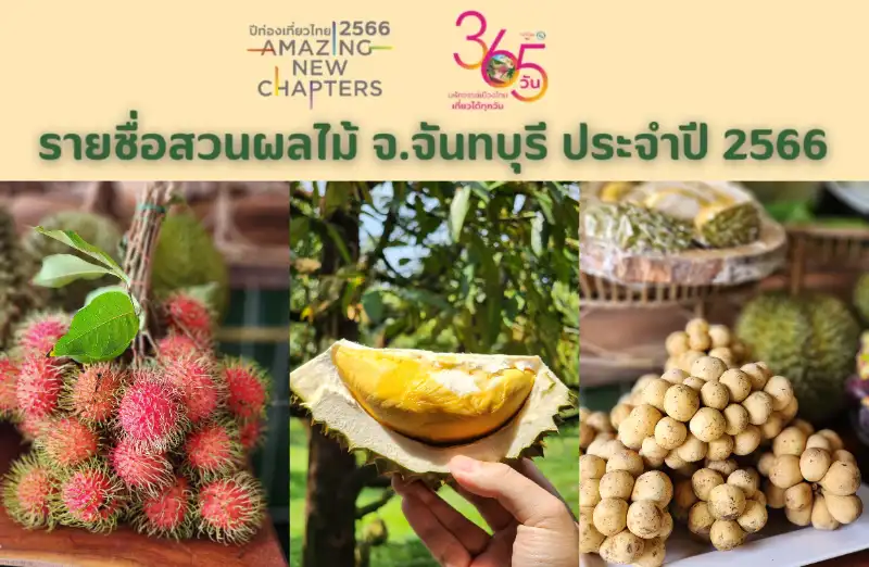 รายชื่อสวนผลไม้จันทบุรี อร่อยทุกไร่ ชิมไปทุกสวน ประจำปี 2566 HealthServ.net