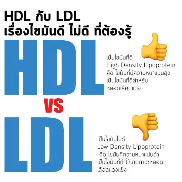 อะไรคือไขมันร้าย ไขมันดี ไตรกลีเซอไรด์ LDL HDL ThumbMobile HealthServ.net