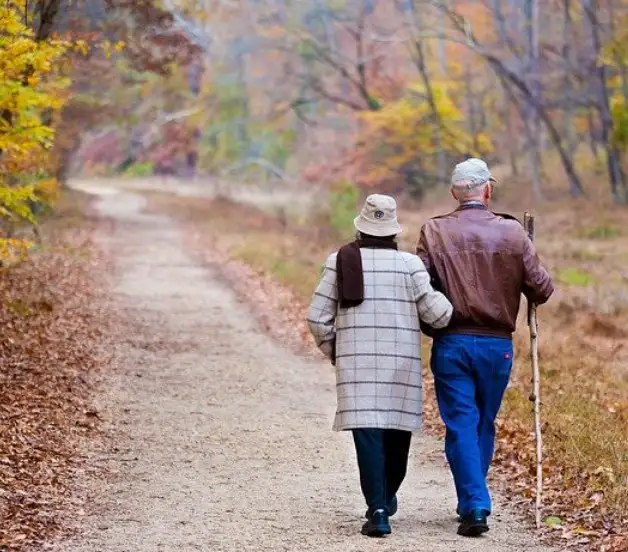 การเดิน ช่วยลดโอกาสเสี่ยงเกิดโรค (โรคเบาหวาน มะเร็ง หัวใจ หลอดเลือด ความดันสูง ฯลฯ) HealthServ.net