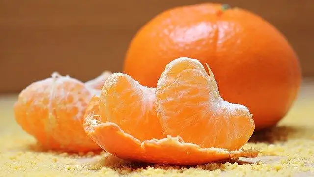 12 คุณประโยชน์ของส้ม คุณค่าทางอาหารมากมาย HealthServ.net