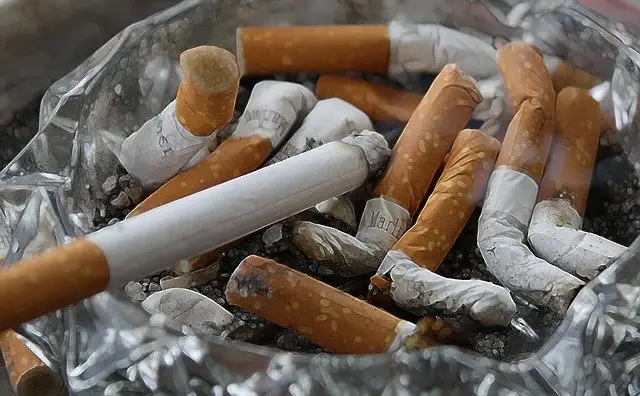 โทษภัยของยาสูบ และโรคที่เกิดจากบุหรี่โดยตรง HealthServ.net