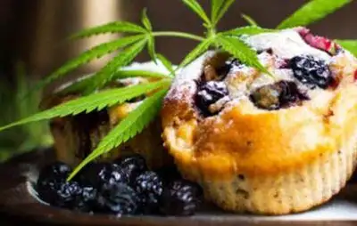 FDA Approves Use of Non-addictive Parts of Cannabis in Food - HealthServ
