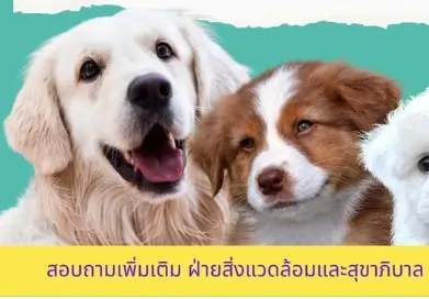 เขตหลักสี่ : กำหนดการหน่วยเคลื่อนที่ฉีดวัคซีนป้องกันโรคพิษสุนัขบ้า ปี 2566 HealthServ.net