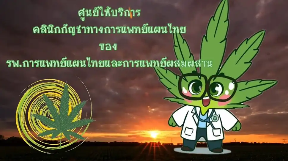 คลินิคกัญชา รพ.การแพทย์แผนไทยฯ 6 ศูนย์ ทั่วประเทศ HealthServ.net