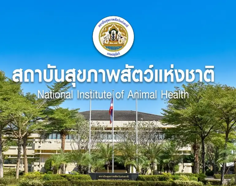 สถาบันสุขภาพสัตว์แห่งชาติ พร้อมตรวจโรคฝีดาษลิงในสัตว์ HealthServ.net