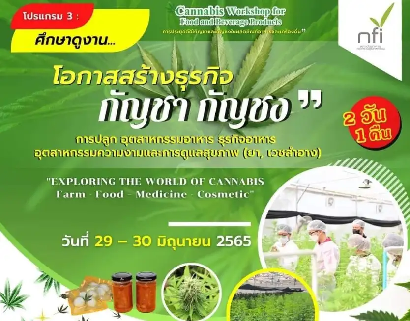 โปรแกรมดูงาน โอกาสสร้างธุรกิจกัญชา กัญชง โดยสถาบันอาหาร ร่วมกับ Ghf thailand HealthServ.net