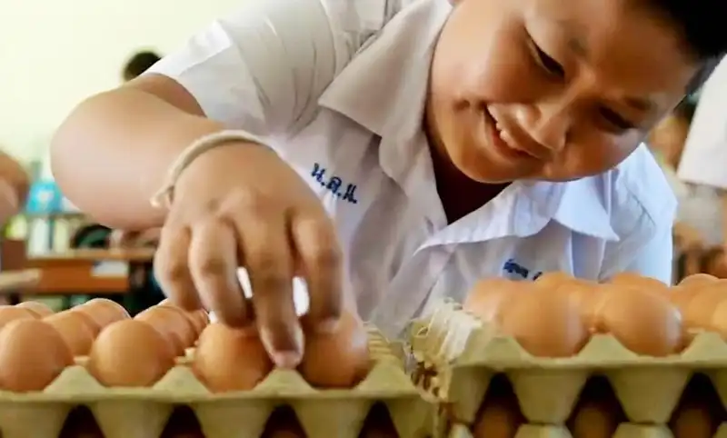 35 ปี โครงการเลี้ยงไก่ไข่เพื่ออาหารกลางวันนักเรียน HealthServ.net