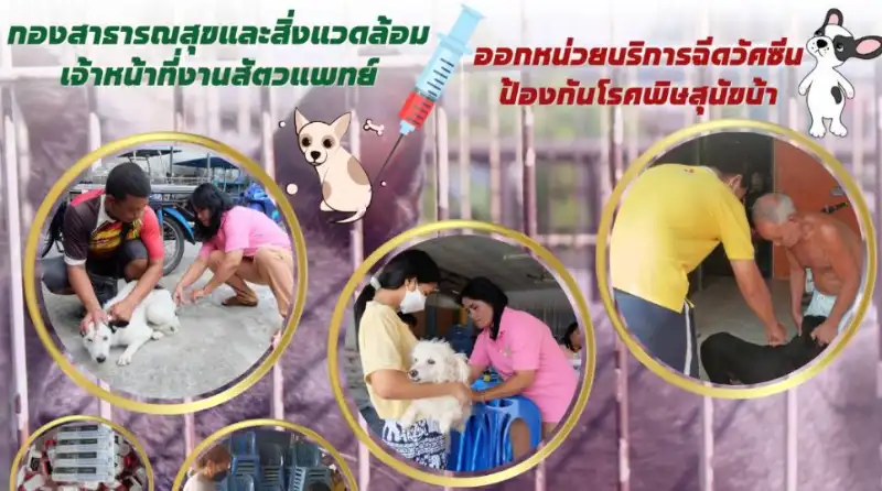 เทศบาลนครนครศรีธรรมราช ลงพื้นที่บริการฉีดวัคซีนป้องกันโรคพิษสุนัขบ้า HealthServ.net