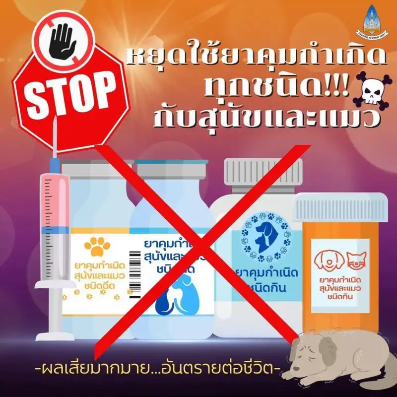 รพ.สัตวแพทย์ ม.ขอนแก่น เตือนยาคุมหมาแมวของเถื่อนทั้งสิ้น ไม่ได้ผล แถมผลเสียร้ายแรง HealthServ.net