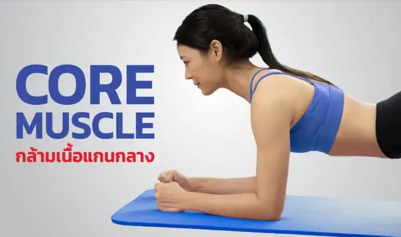 ทำความรู้จักกล้ามเนื้อแกนกลาง! (Core muscle) จุดเริ่มต้นโรคกระดูกสันหลัง หากละเลย HealthServ.net