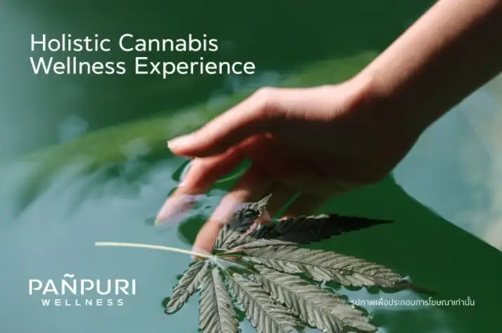 Panpuri Holistic Cannabis Wellness Experience ผ่อนคลายในทุกมิติกับกลิ่นอายบันดาลใจจากกัญชา HealthServ
