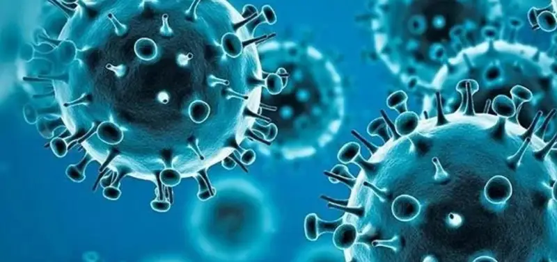 WHO ข้อมูลล่าสุดเกี่ยวกับไวรัสโควิดสายพันธุ์โอมิครอน HealthServ