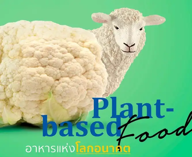 "Plant-based Food" จับกระแสอนาคตของอาหาร เจาะโอกาสทางการตลาดในไทย HealthServ