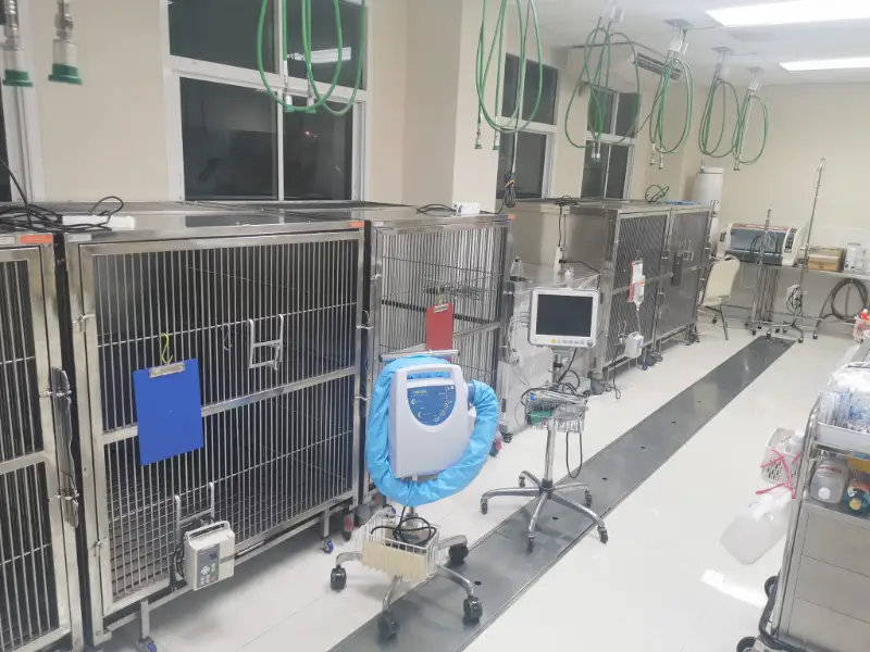 หน่วยดูแลสัตว์ป่วยใน โรงพยาบาลสัตว์ทิพย์พิมาน ปากช่อง HealthServ