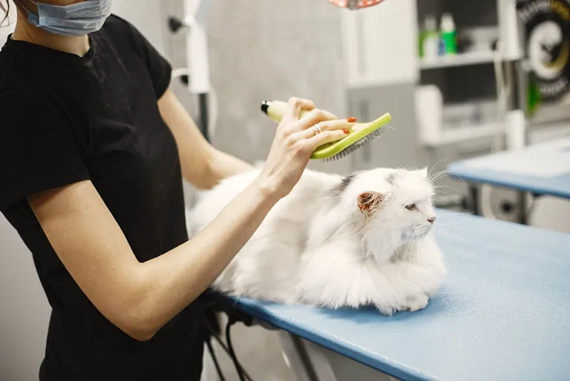 Image : pexels.com HealthServ