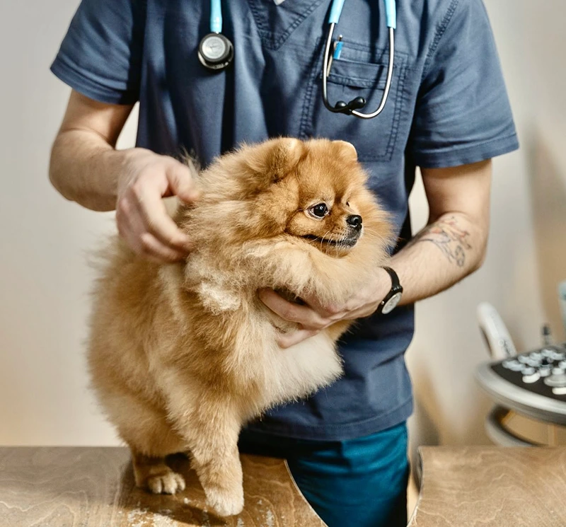 Image : pexels.com HealthServ