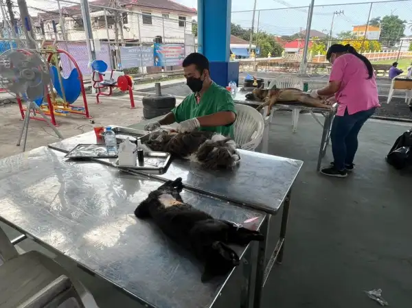 กิจกรรมป้องกันโรคพิษสุนัขบ้าและการทำหมันสัตว์เลี้ยง เทศบาลตำบลบางละมุง 2565 HealthServ