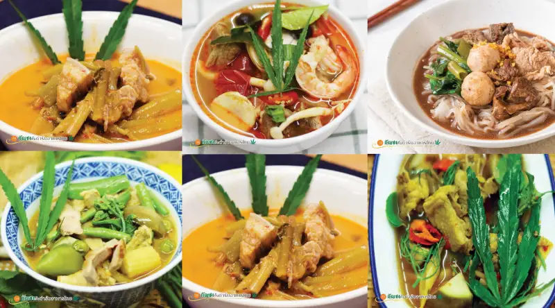 รวมสูตรอาหารกัญชาไทย ฉบับแพทย์แผนไทยและการแพทย์ทางเลือก HealthServ