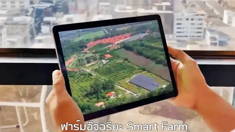 ซีพีเอฟ เดินหน้า Greenfarm - Smart Farm HealthServ