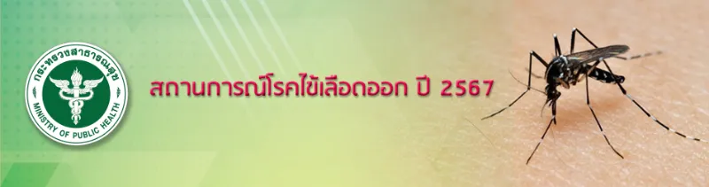 รายงานสถานการณ์โรคไข้เลือดออก ในไทย ปี 2567 HealthServ