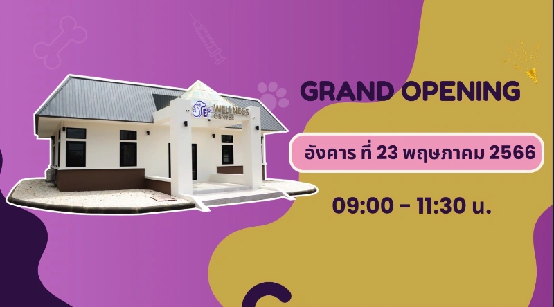 เปิดตัว ศูนย์สุขภาพสัตว์เลี้ยง (Pet Wellness Center, CMU) สัตวแพทย์ มช. HealthServ