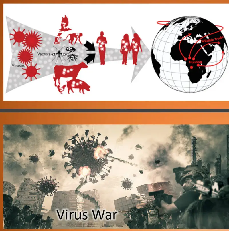 สงครามไวรัส: สนามรบระหว่างมนุษย์กับไวรัส ที่กำลังเปลี่ยนไปอย่างสิ้นเชิง HealthServ