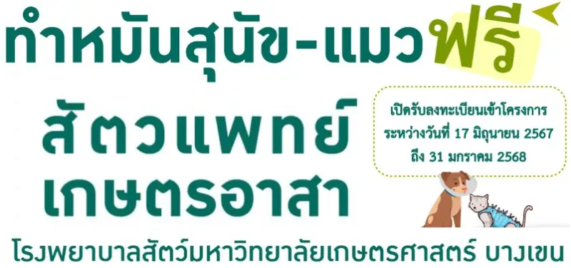 สัตวแพทย์เกษตรอาสา ม.เกษตร บางเขน ทำหมันน้องหมาน้องแมว ฟรี ปี 2567 HealthServ