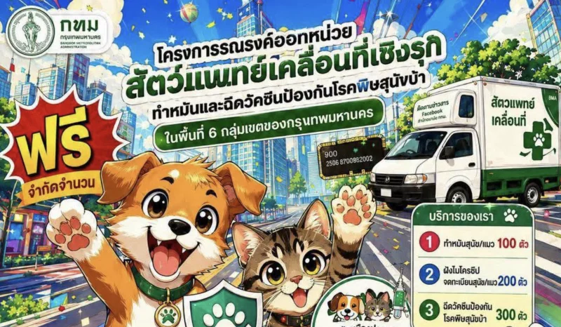 เขตลาดพร้าวจัดทำหมัน จดทะเบียน ฉีดวัคซีนสัตว์เลี้ยง เดือนกย 69 HealthServ
