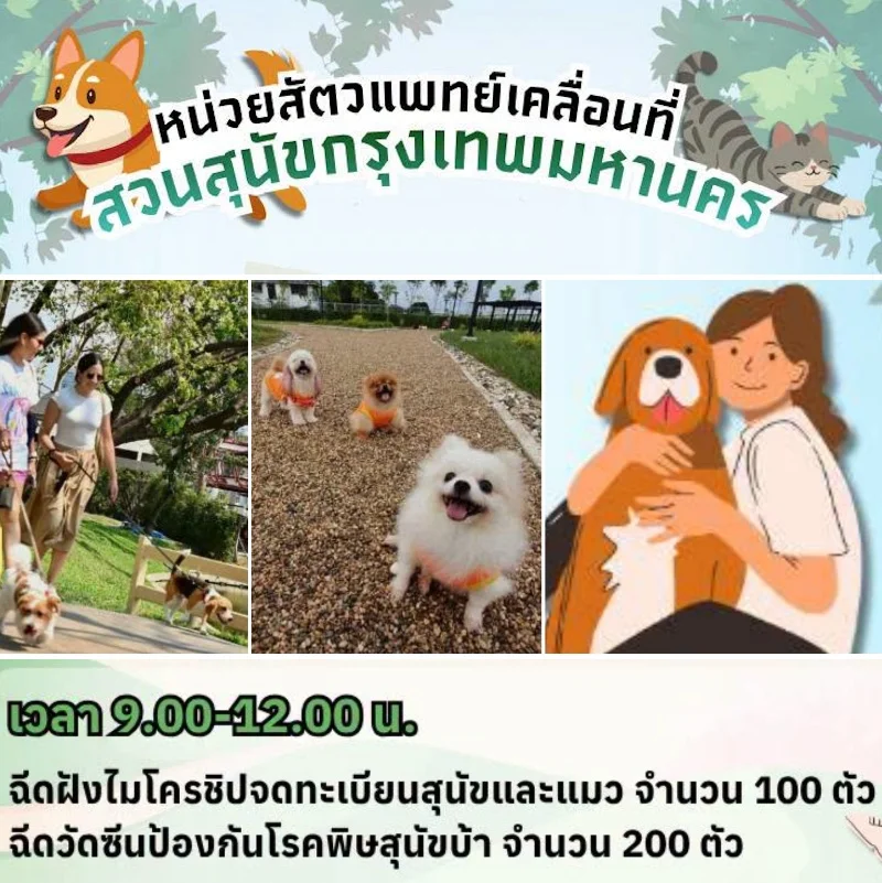 8 สวนสุนัข (Dog Park) กทม. บริการฝังไมโครชิป-ฉีดวัคซีน ฟรี ปี 69-70 HealthServ