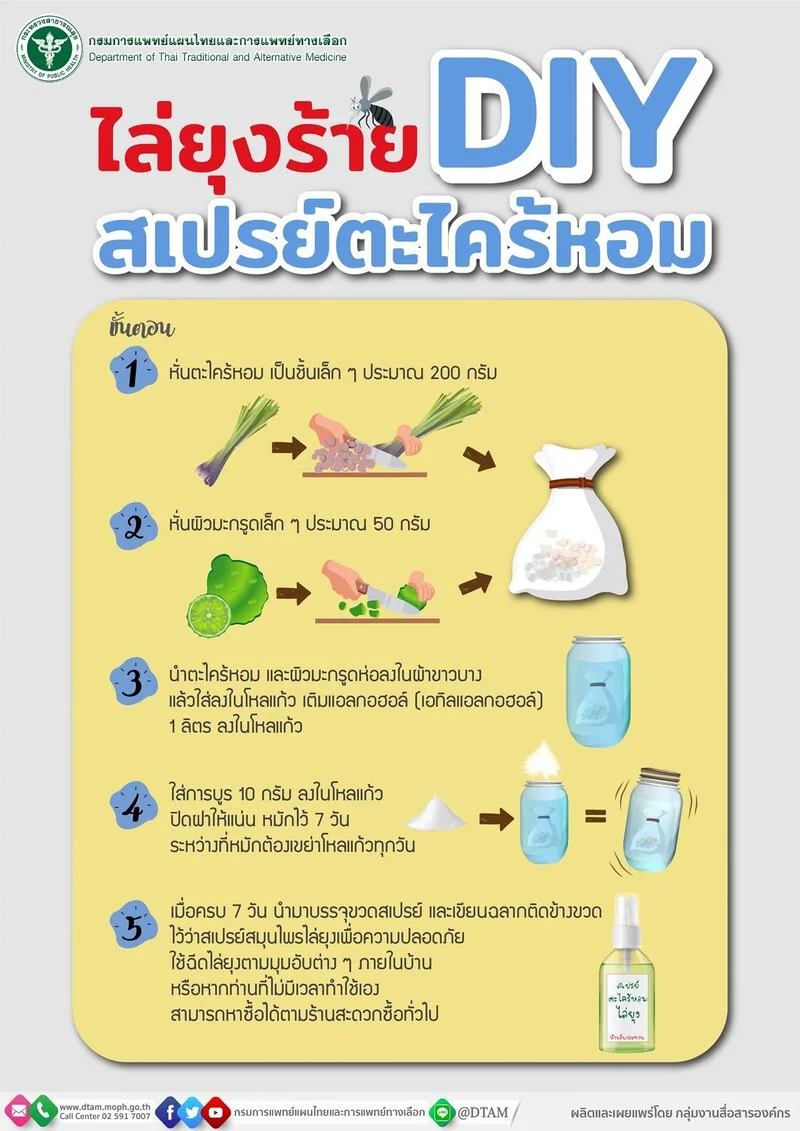 6 สมุนไพรช่วยไล่ยุง สูตรแพทย์แผนไทย HealthServ